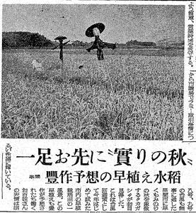 1955年7月21日付の日向日日新聞