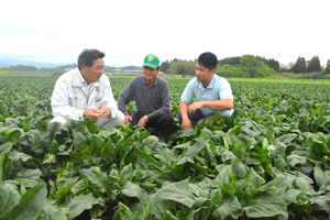 ＦＣが定期的にほ場を回り、生産工程を管理する。左からＦＣの生目さん、契約農家の外山さん、ＪＡ西都黒木俊作さん